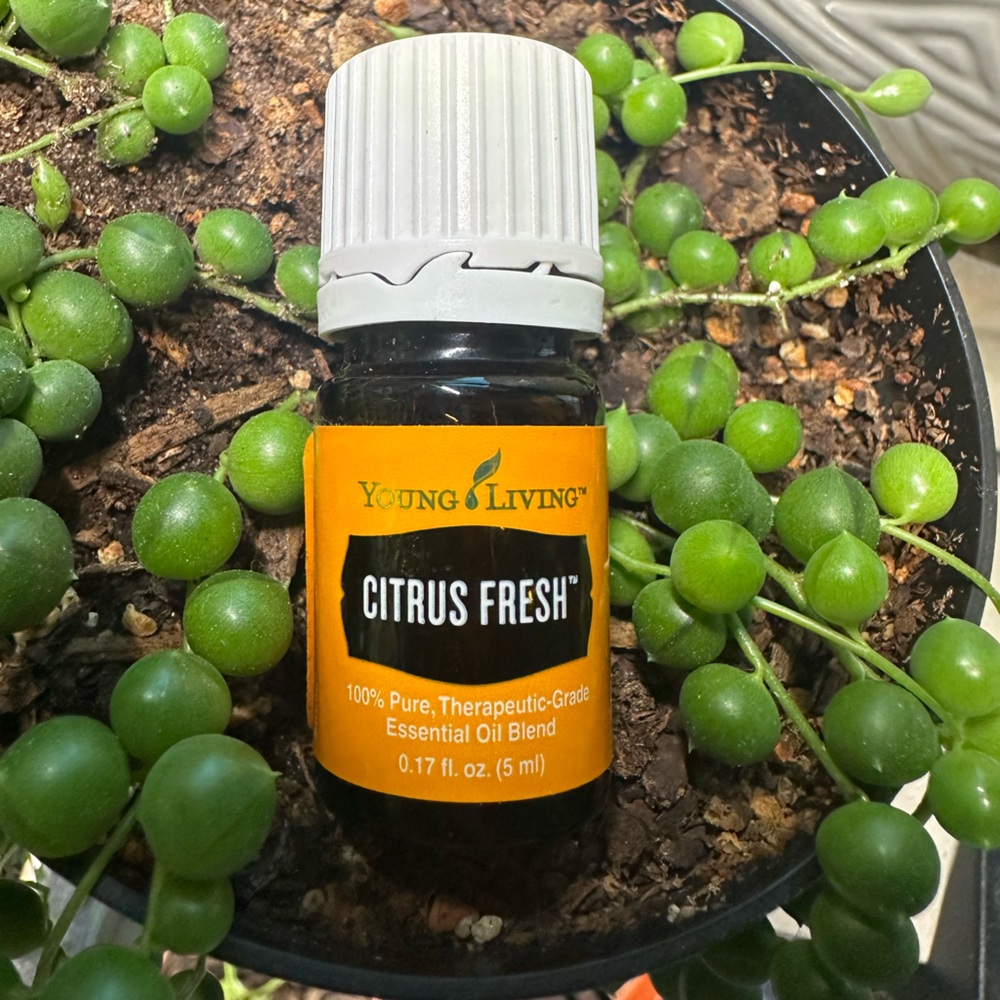 *Buy Now Priced* Young Living Citrus Fresh